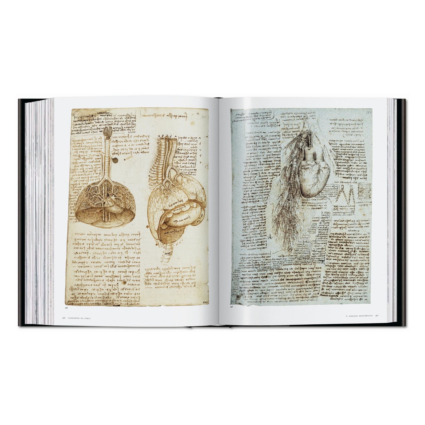 Léonard. Tout l'œuvre peint et graphique (French)
