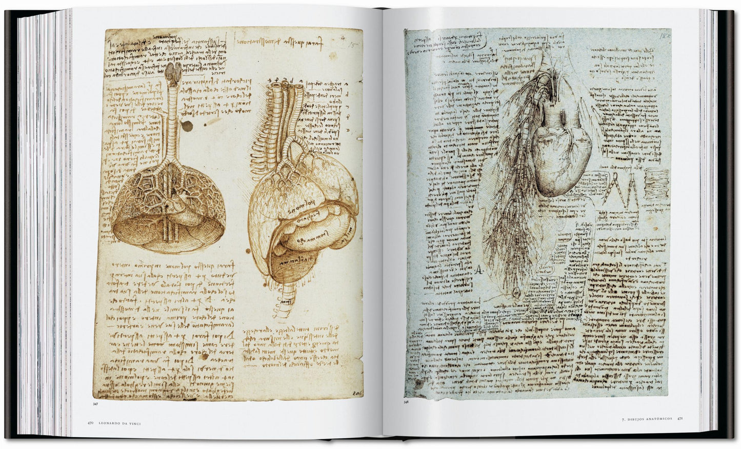 Leonardo. Tutti i dipinti e disegni (Italian)