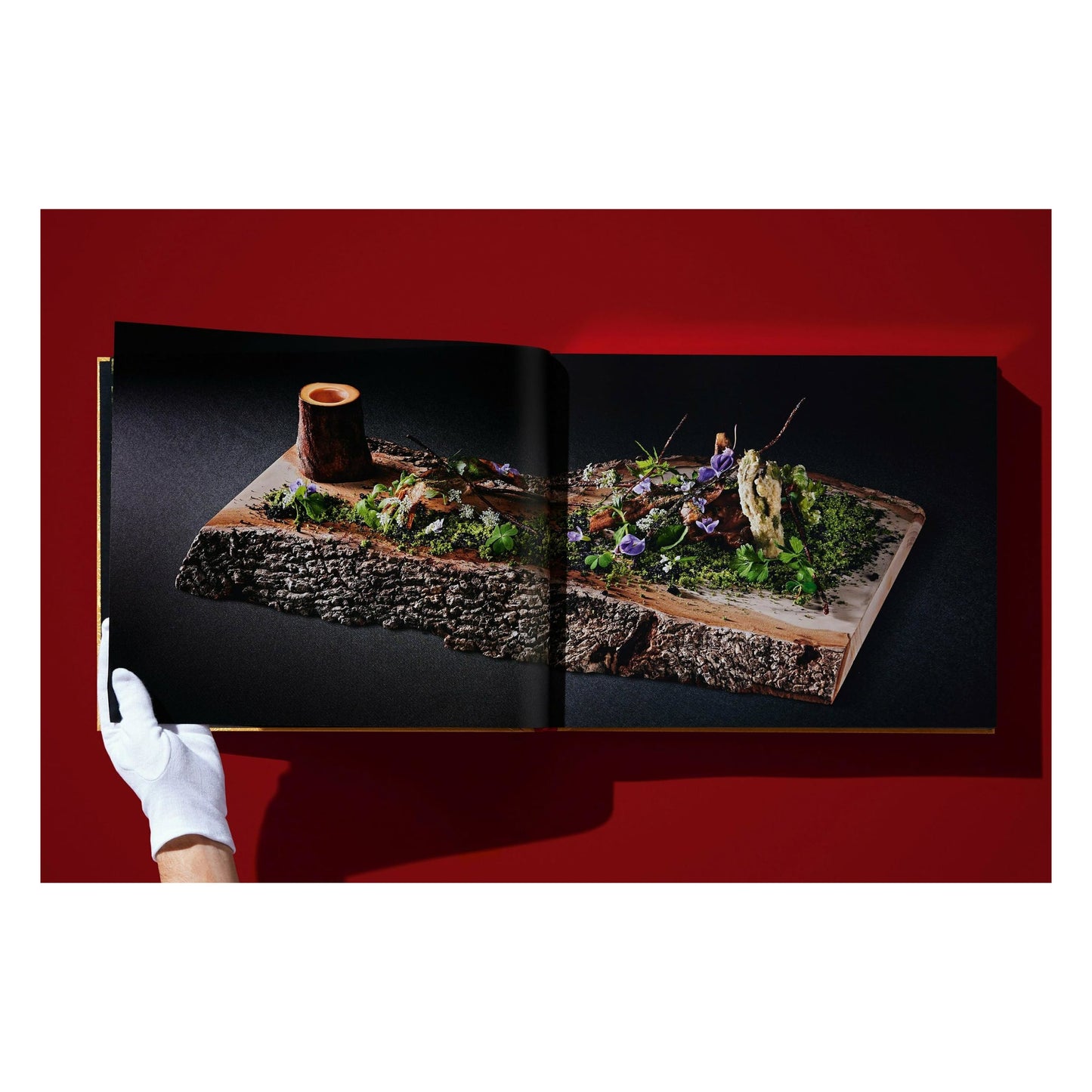 Yoshihiro Narisawa. Satoyama Cuisine (English) (AP)