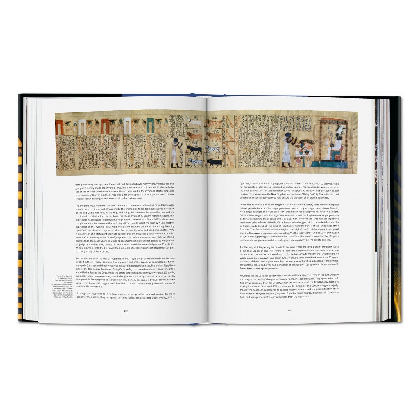 Tutankhamon. Il viaggio nell’oltretomba (Italian)