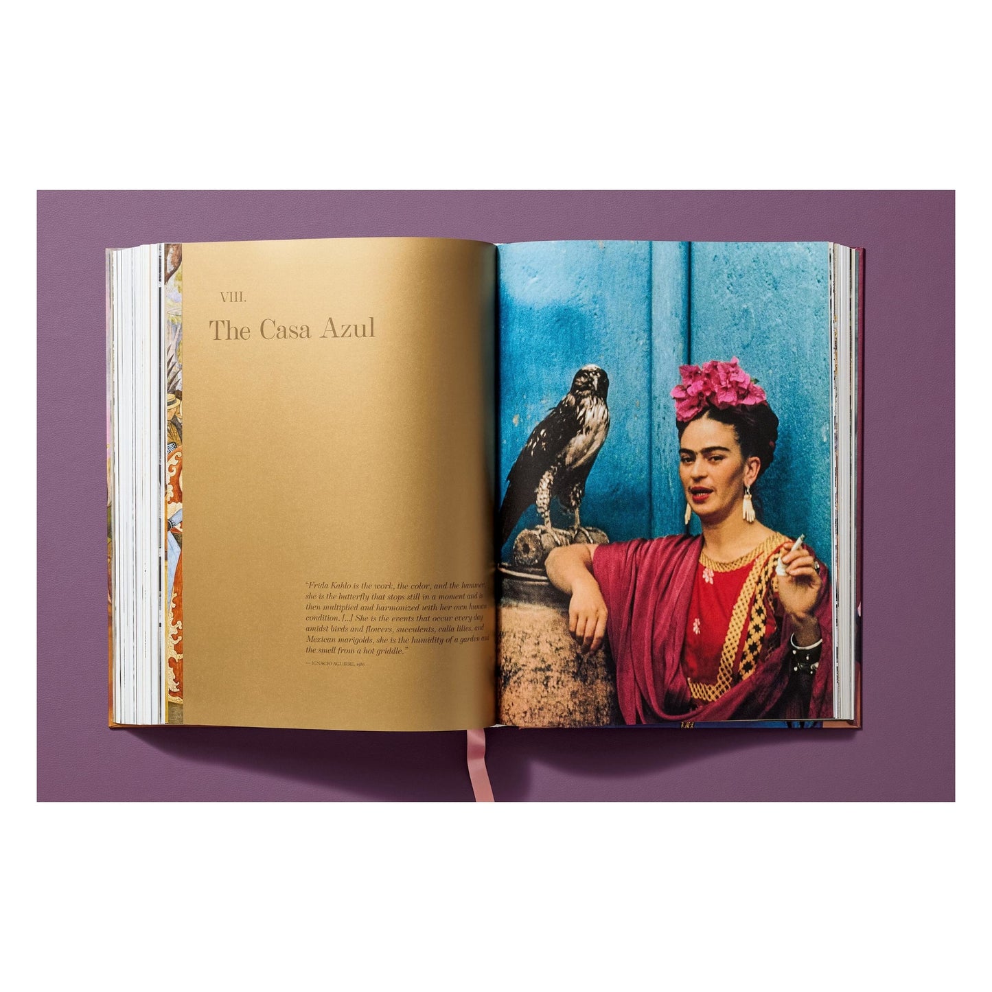 Frida Kahlo. Sämtliche Gemälde (German)
