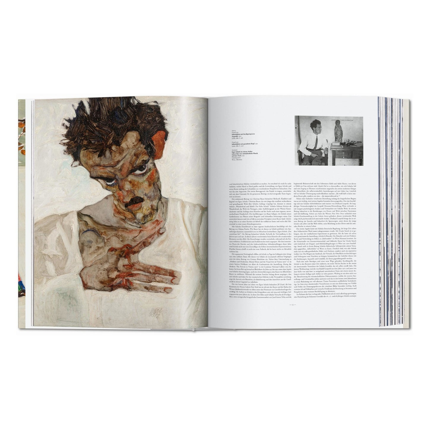 Egon Schiele. Sämtliche Gemälde 1909-1918 (German)