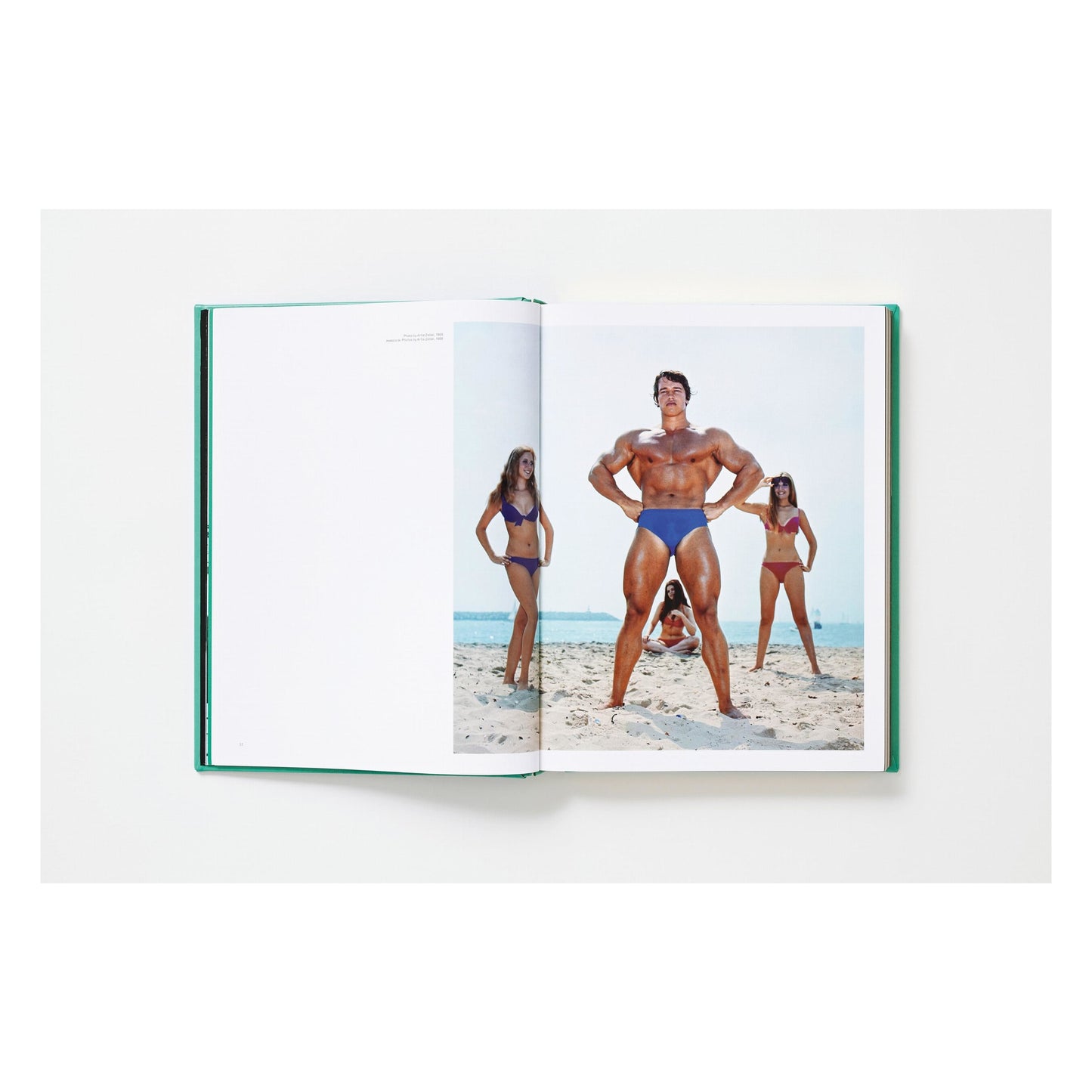 ARNOLD. Capitello Edition (English)
