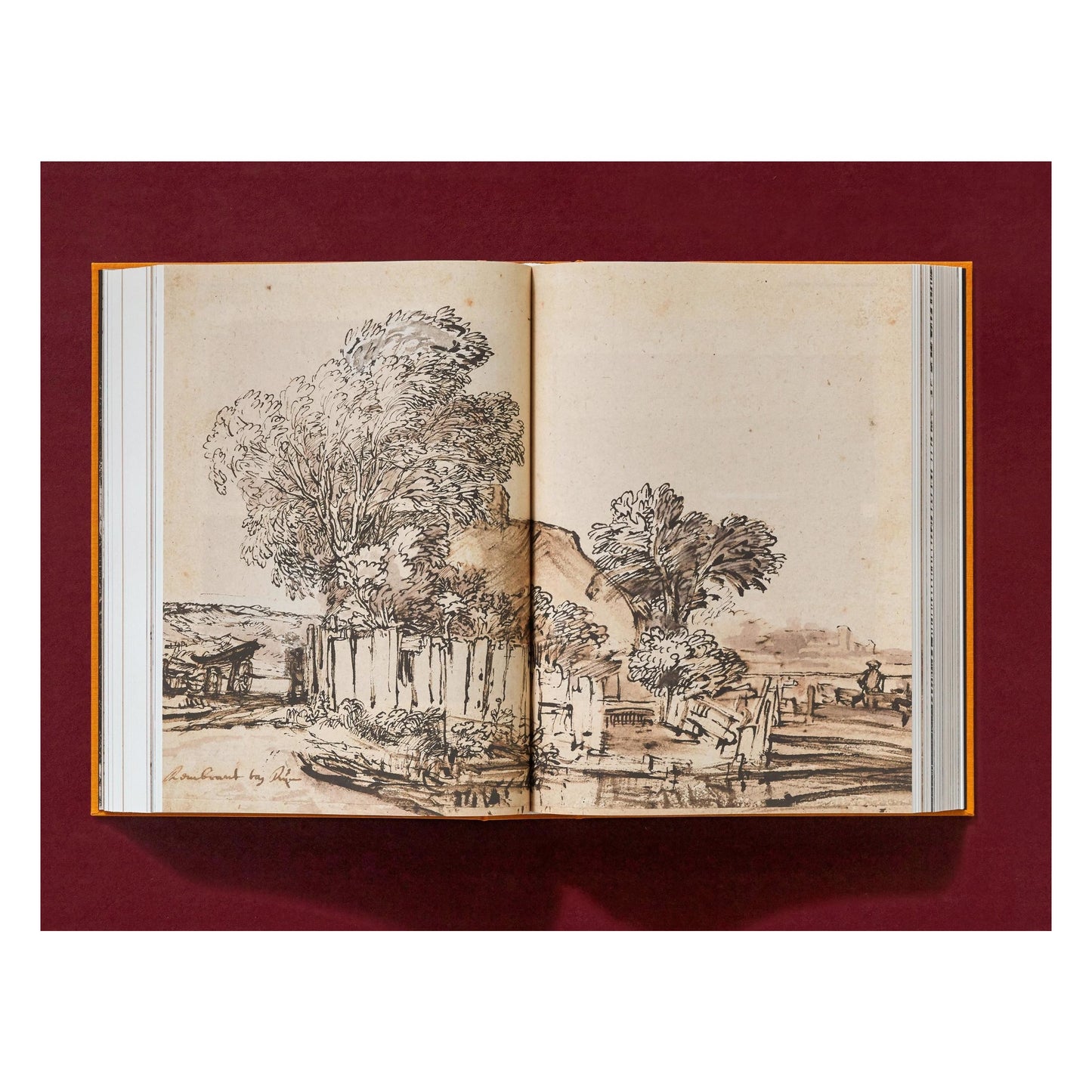 Rembrandt. Tous les dessins et toutes les eaux-fortes (French)
