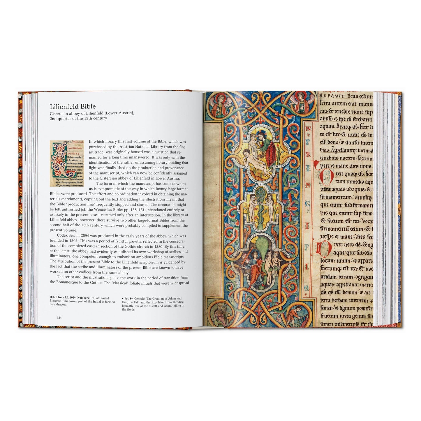 El libro de las biblias. 45th Ed. (Spanish)