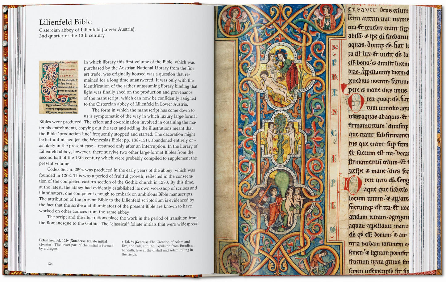 The Book of Bibles. 45th Ed. (English)