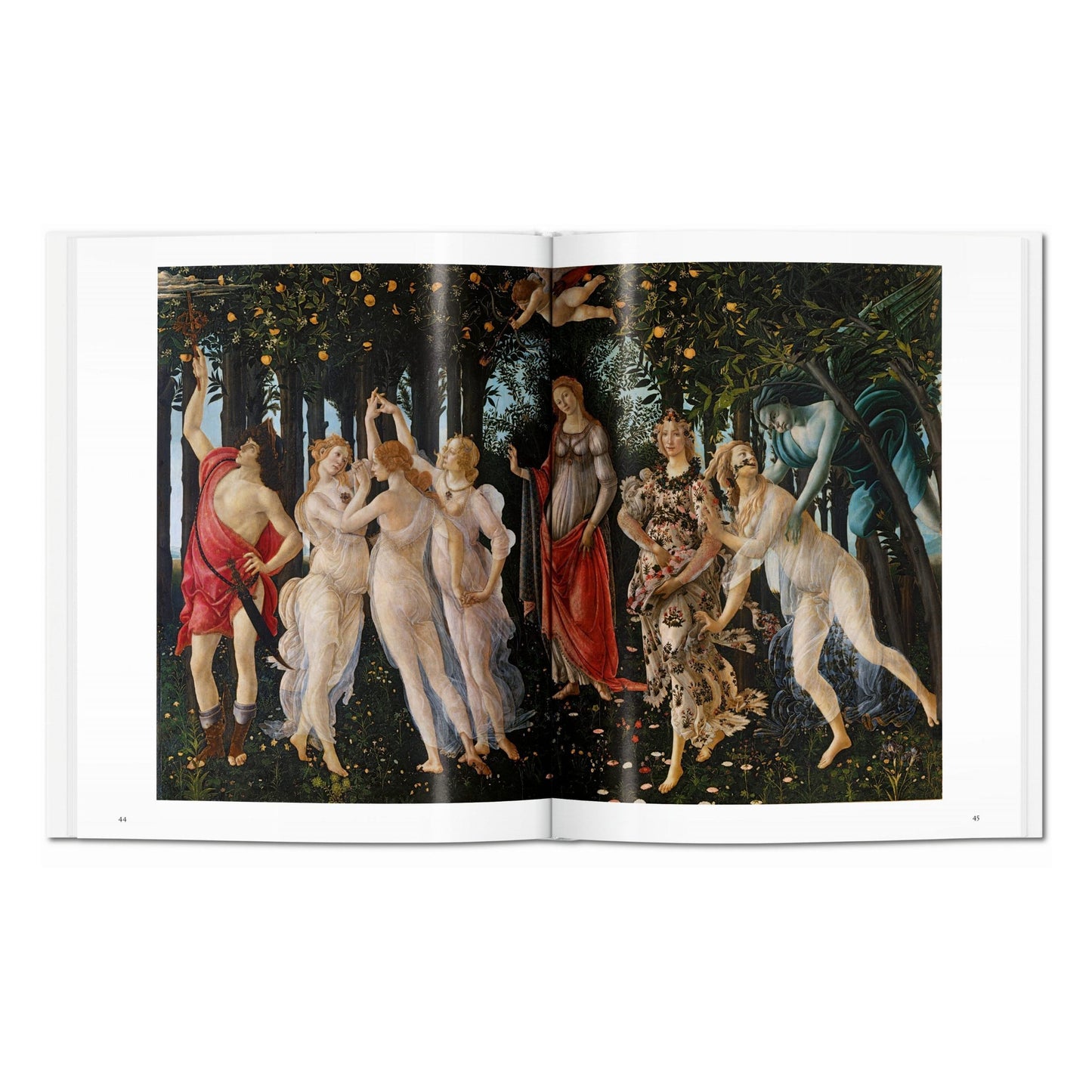 Botticelli (Italian)