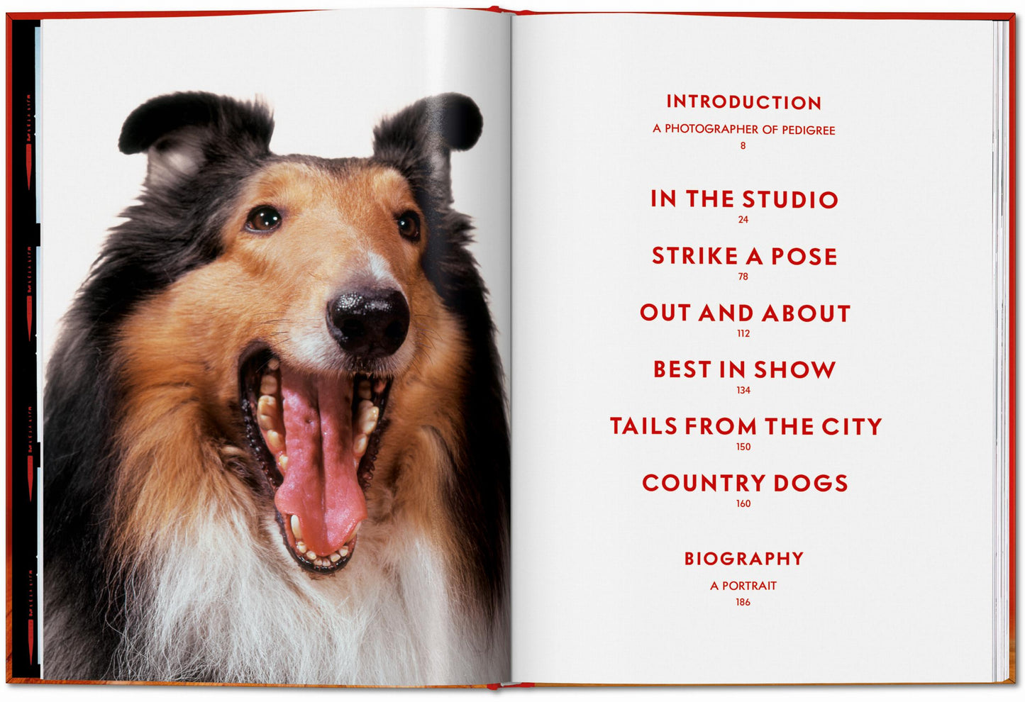 Walter Chandoha. Dogs. Photographs 1941–1991 (English)