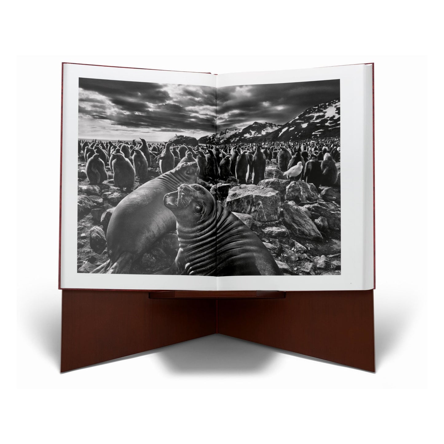 Sebastião Salgado. Genesis. Art Edition No. 1–100 ‘Two Mursi Women, Omo Valley, Ethiopia’ (English)