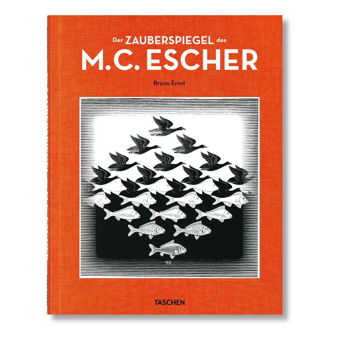 Der Zauberspiegel des M.C. Escher (German)