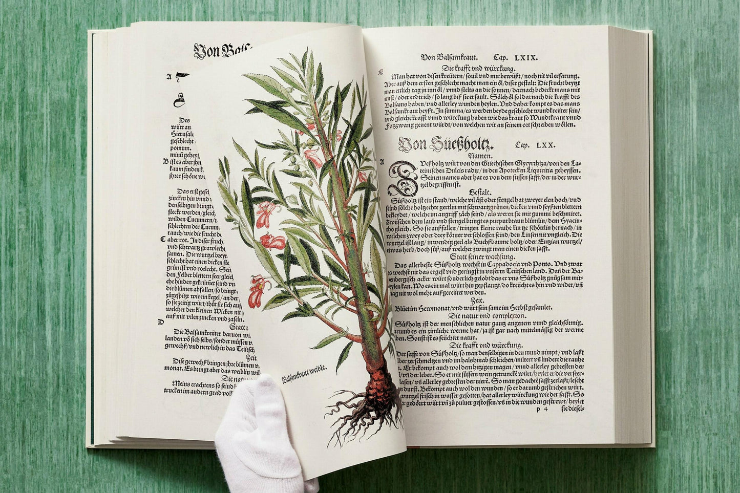 Leonhart Fuchs. Das New Kreüterbuch (German)