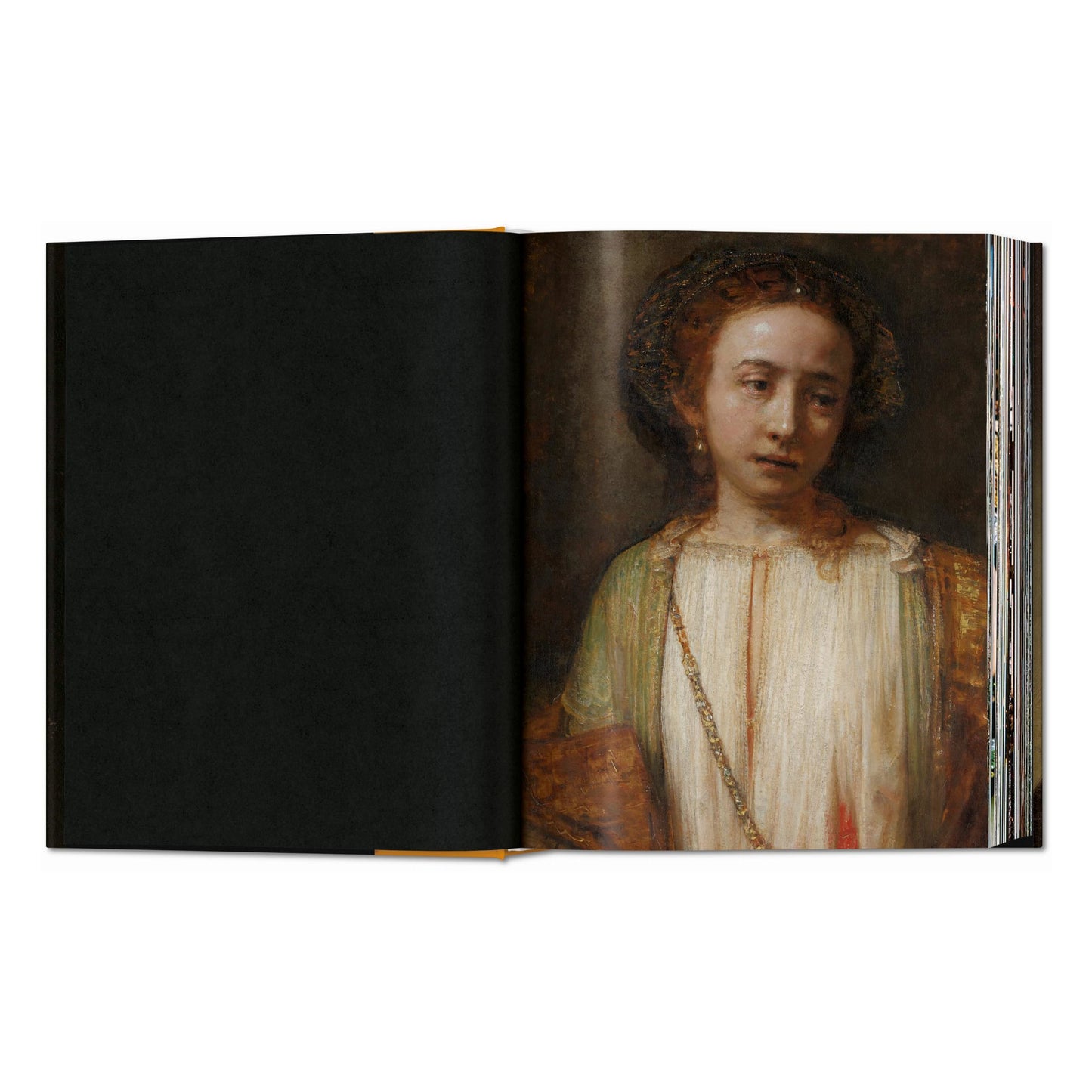 Rembrandt. Sämtliche Gemälde (German)