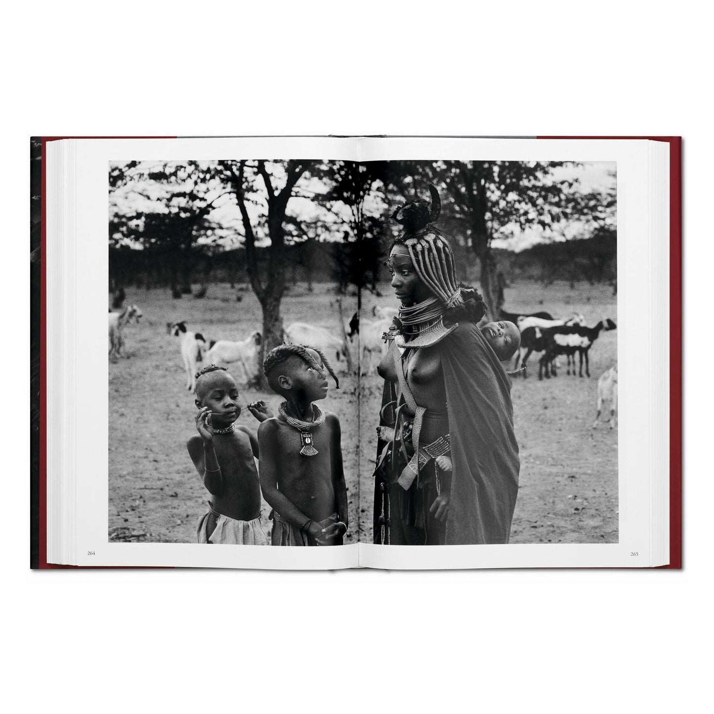 Sebastião Salgado. Genesi (Italian)