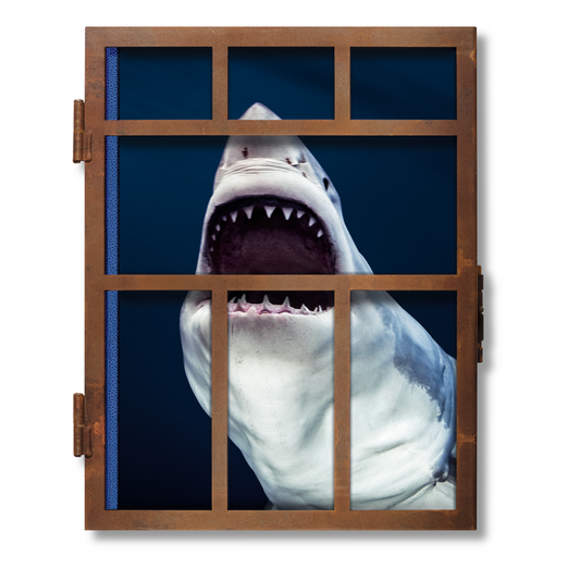 Michael Muller. Sharks (English) (AP)