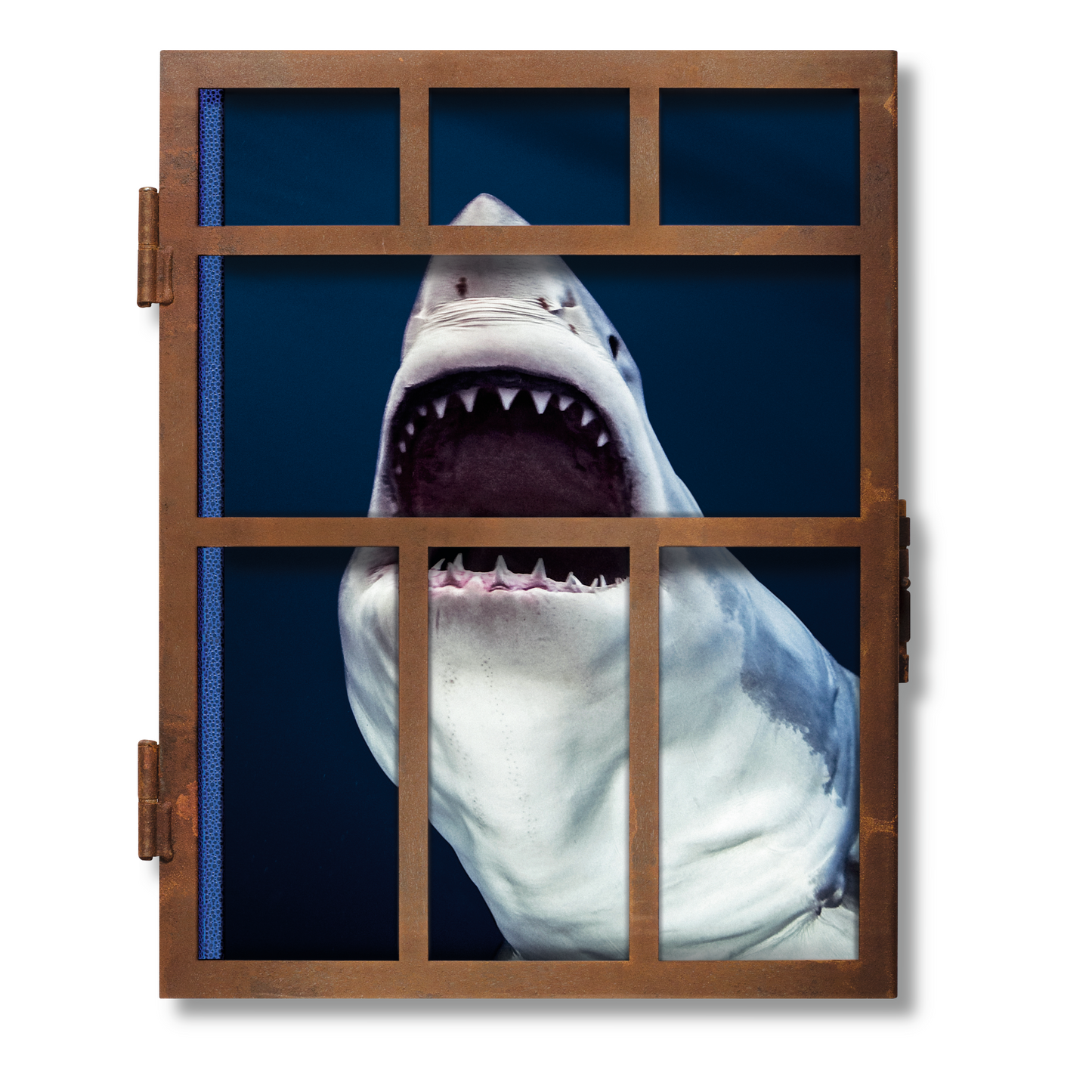 Michael Muller. Sharks (English)