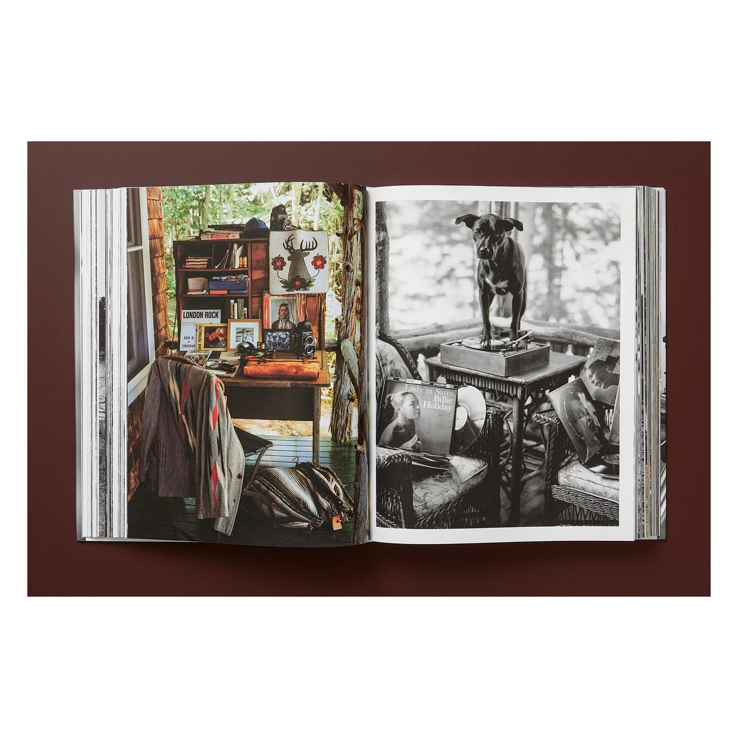 Bruce Weber. The Golden Retriever Photographic Society. Art Edition No. 101–200 ‘Hud, New York City, 2011’ (German, French, English) (AP)