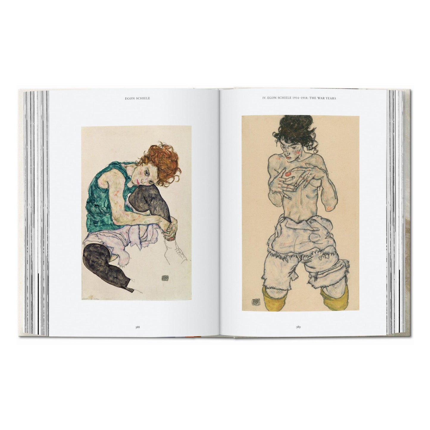 Egon Schiele. Die Gemälde. 40th Ed. (German)