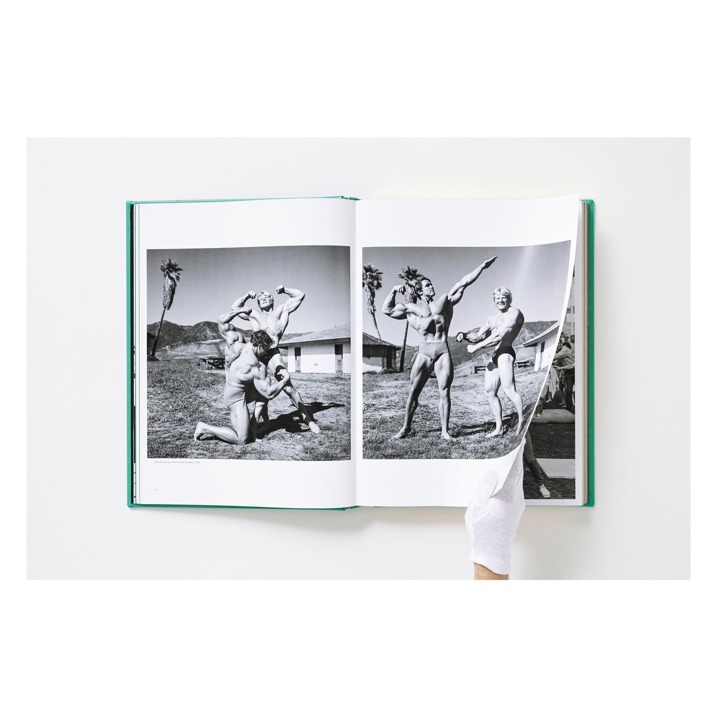 ARNOLD. Capitello Edition (English)