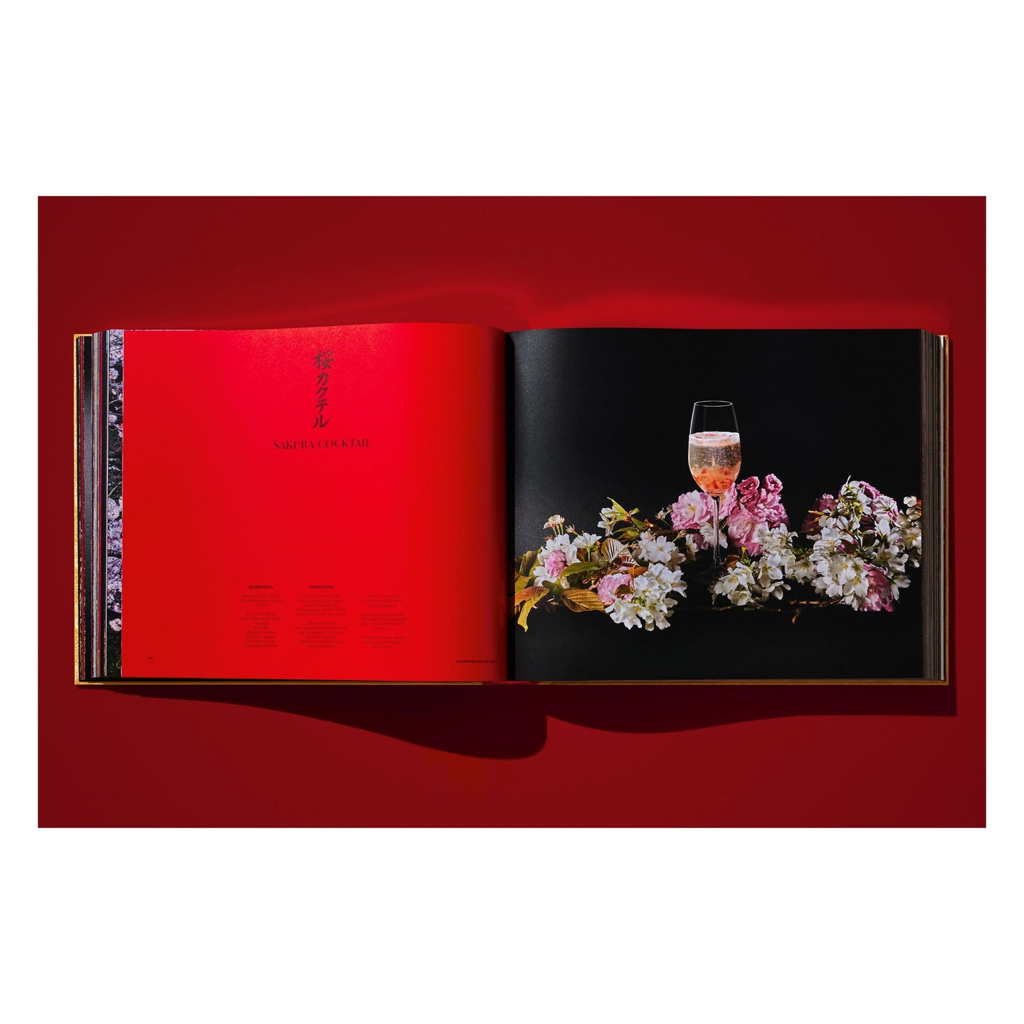 Yoshihiro Narisawa. Satoyama Cuisine (English) (AP)