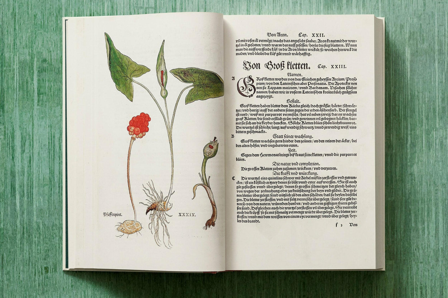 Leonhart Fuchs. Das New Kreüterbuch (German)
