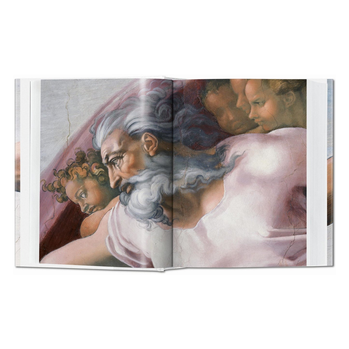 Michel-Ange. L'œuvre peint, sculpté et architectural complet (French)