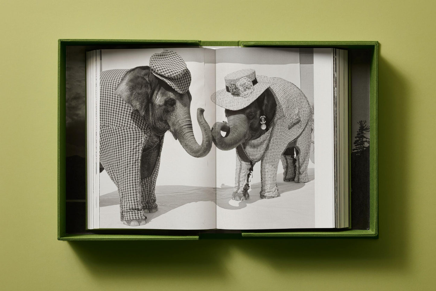 Bruce Weber. My Education. Art Edition No. 1–100, ‘Jeff Aquilon, Kona, Hawaii’, 1982 (German, French, English) (AP)