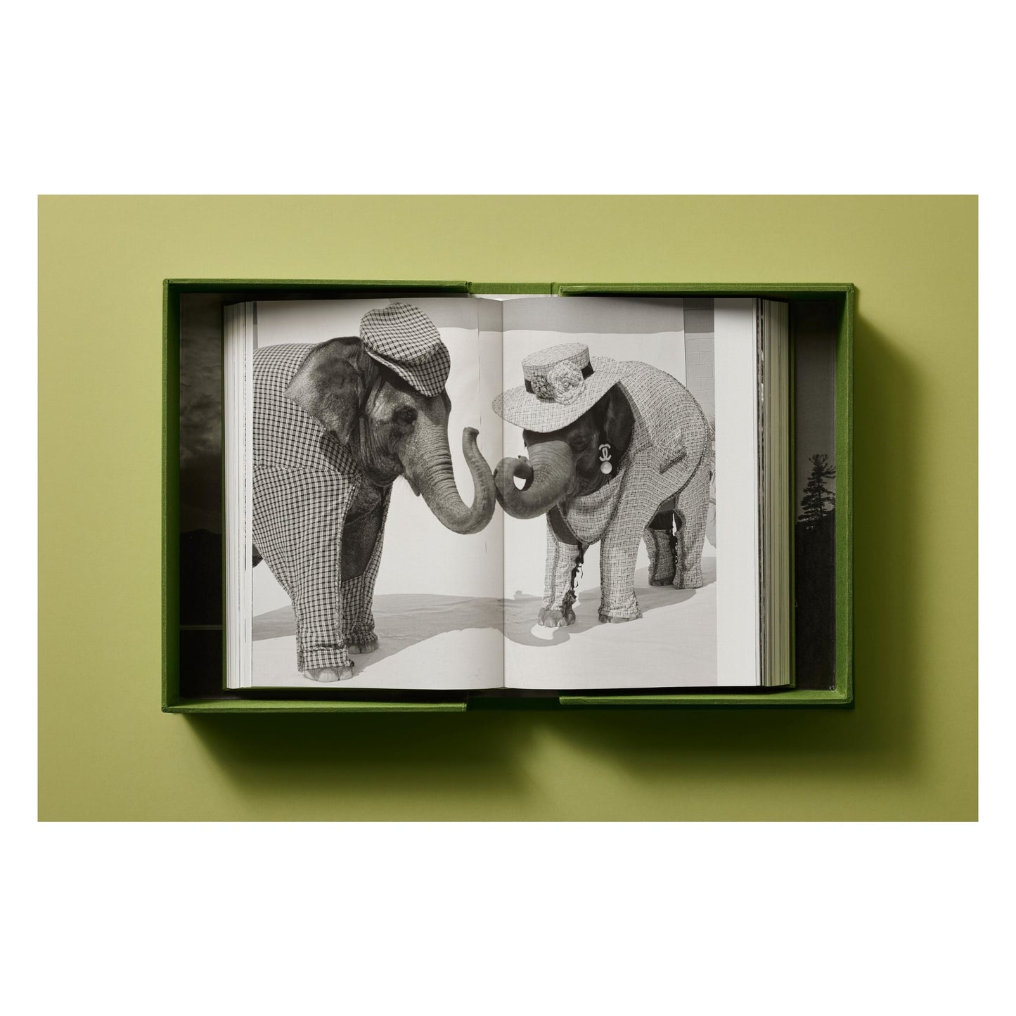 Bruce Weber. My Education. Art Edition No. 1–100, ‘Jeff Aquilon, Kona, Hawaii’, 1982 (German, French, English)