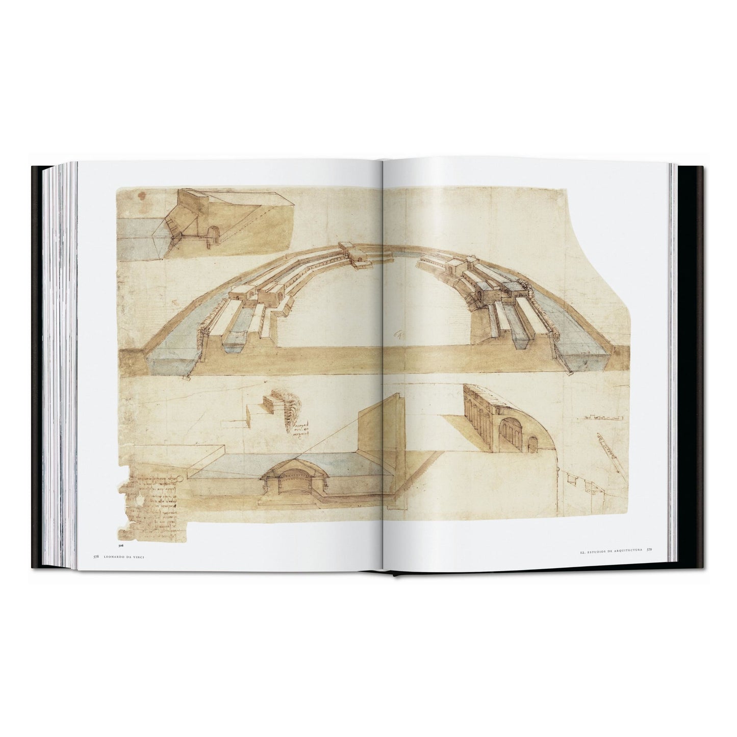 Leonardo. Tutti i dipinti e disegni (Italian)