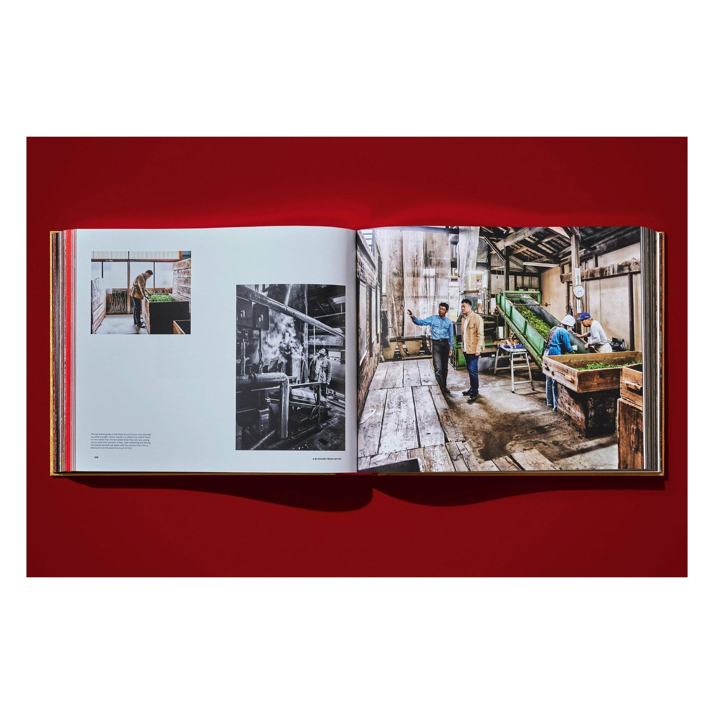 Yoshihiro Narisawa. Satoyama Cuisine (English) (SA)