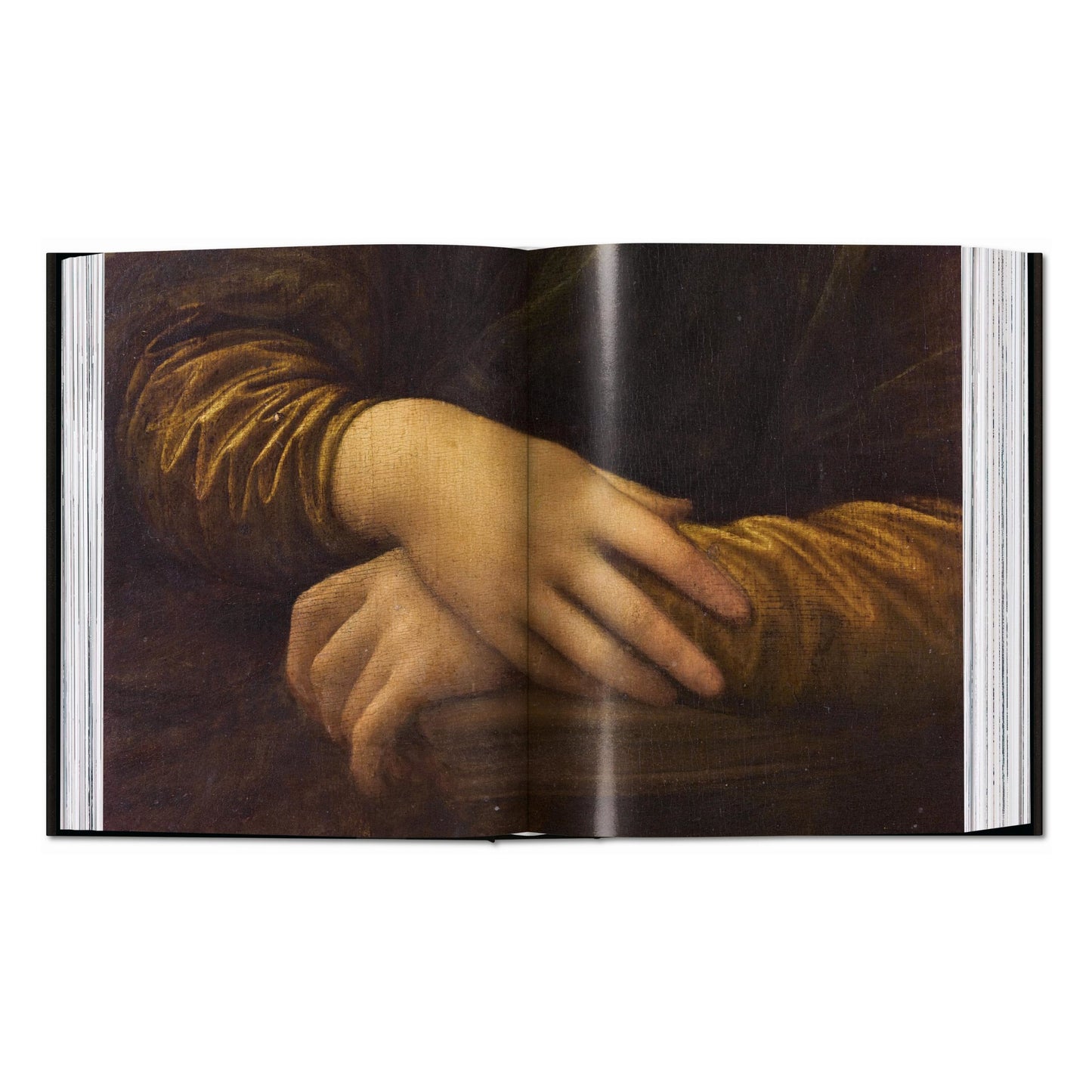 Leonardo. Obra Completa de Pintura e Desenho (Portuguese)