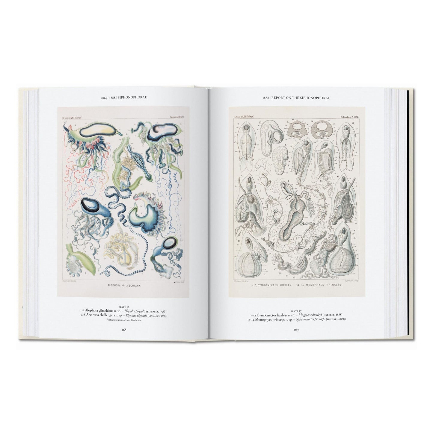 L’art et la science de Ernst Haeckel. 45th Ed. (French)