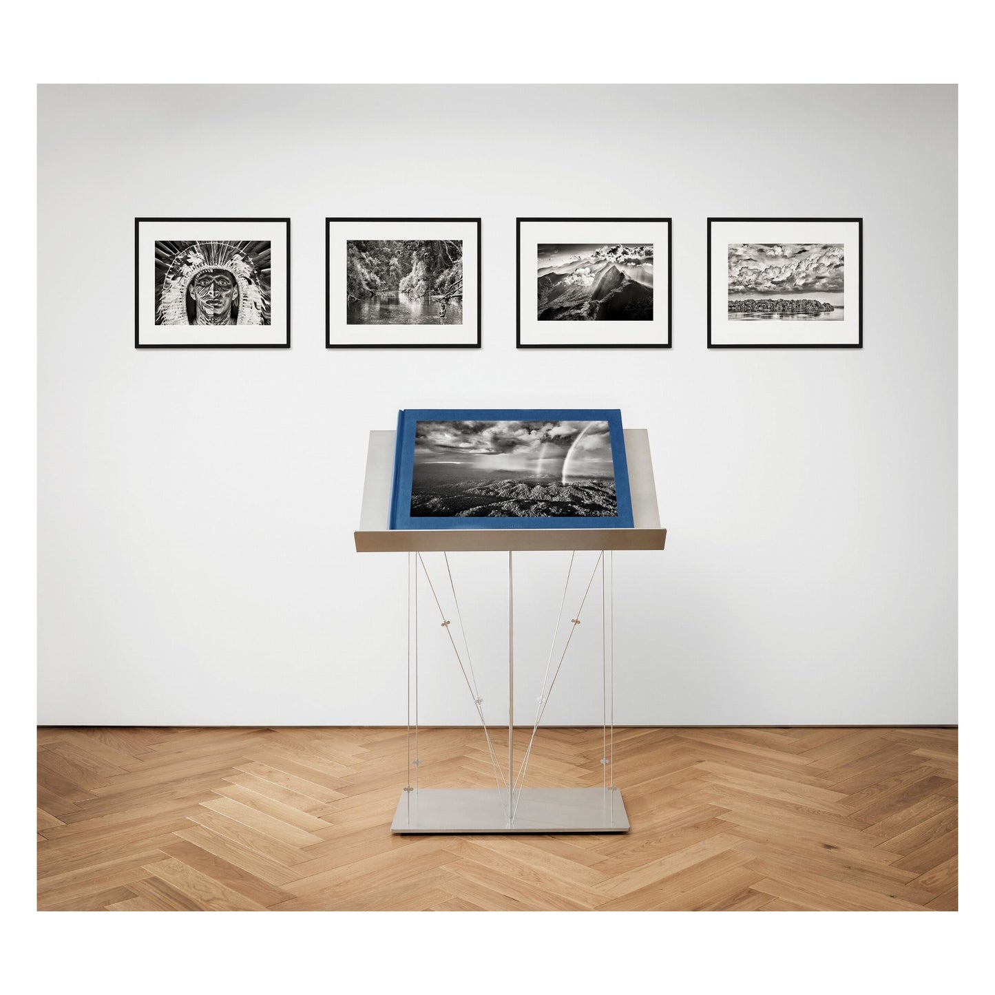 Sebastião Salgado. Amazônia. Art A (English) (AP)