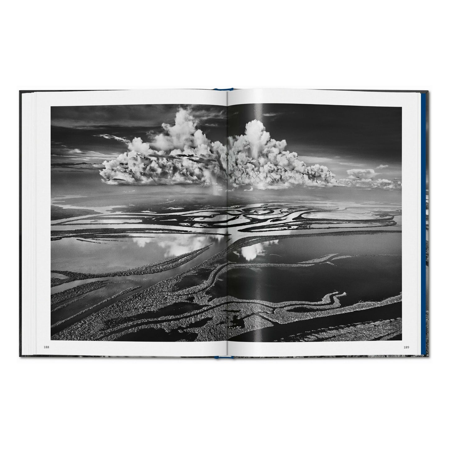 Sebastião Salgado. Amazônia (Portuguese)