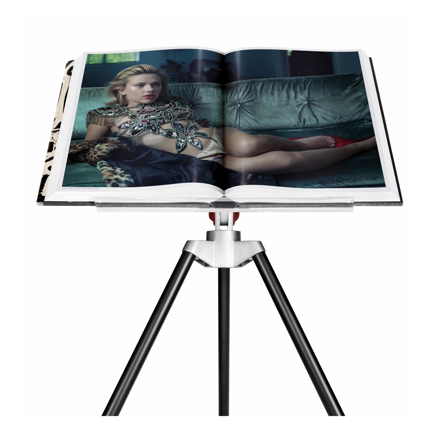 Annie Leibovitz. Art Edition (German, French, English)