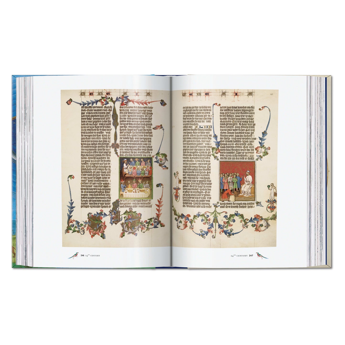 Codices illustres. Die schönsten illuminierten Handschriften der Welt 400 bis 1600 (German)