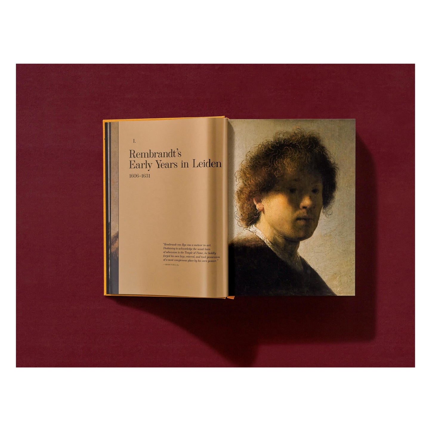 Rembrandt. Alle schilderijen (Dutch)