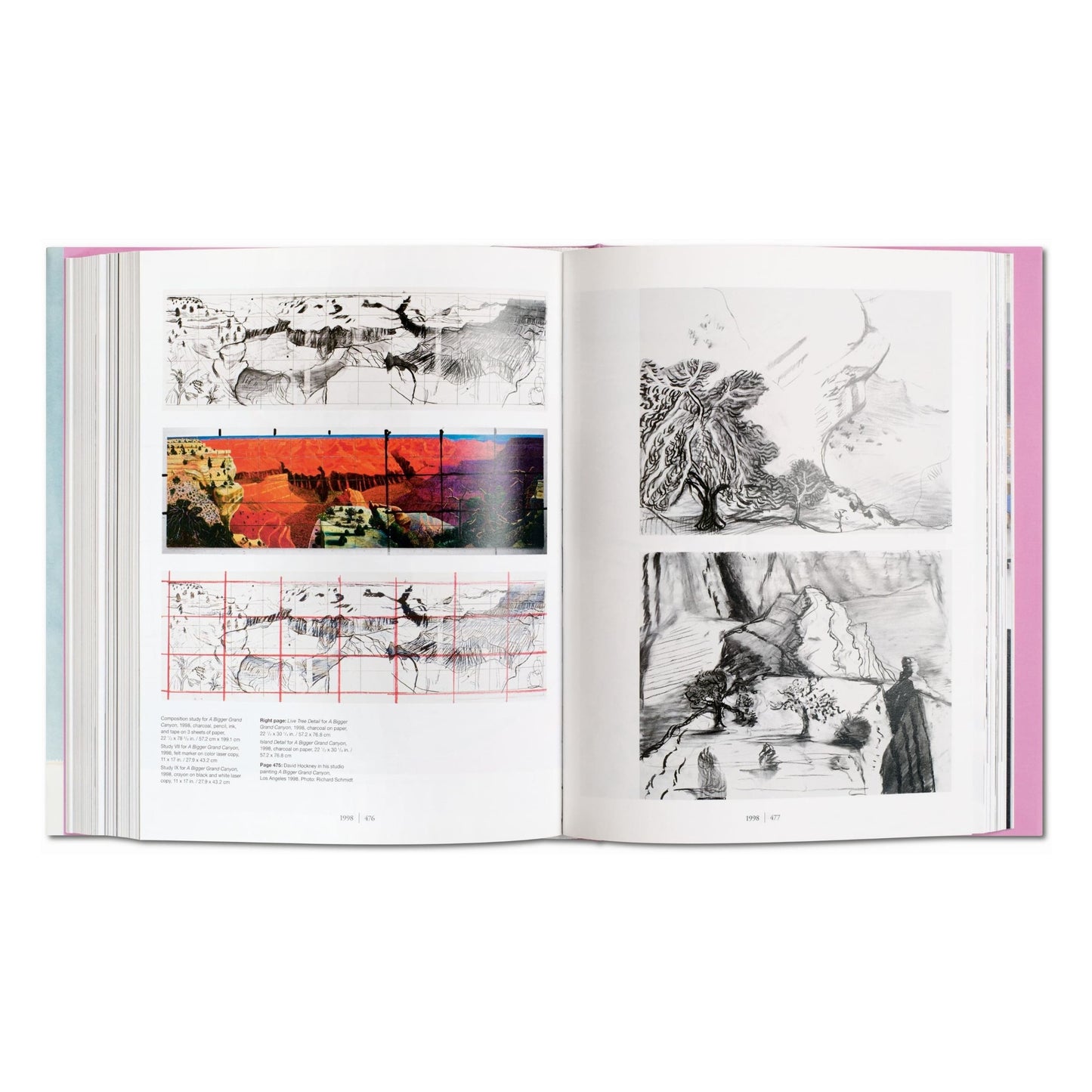 David Hockney. A Bigger Book (English) (AP)
