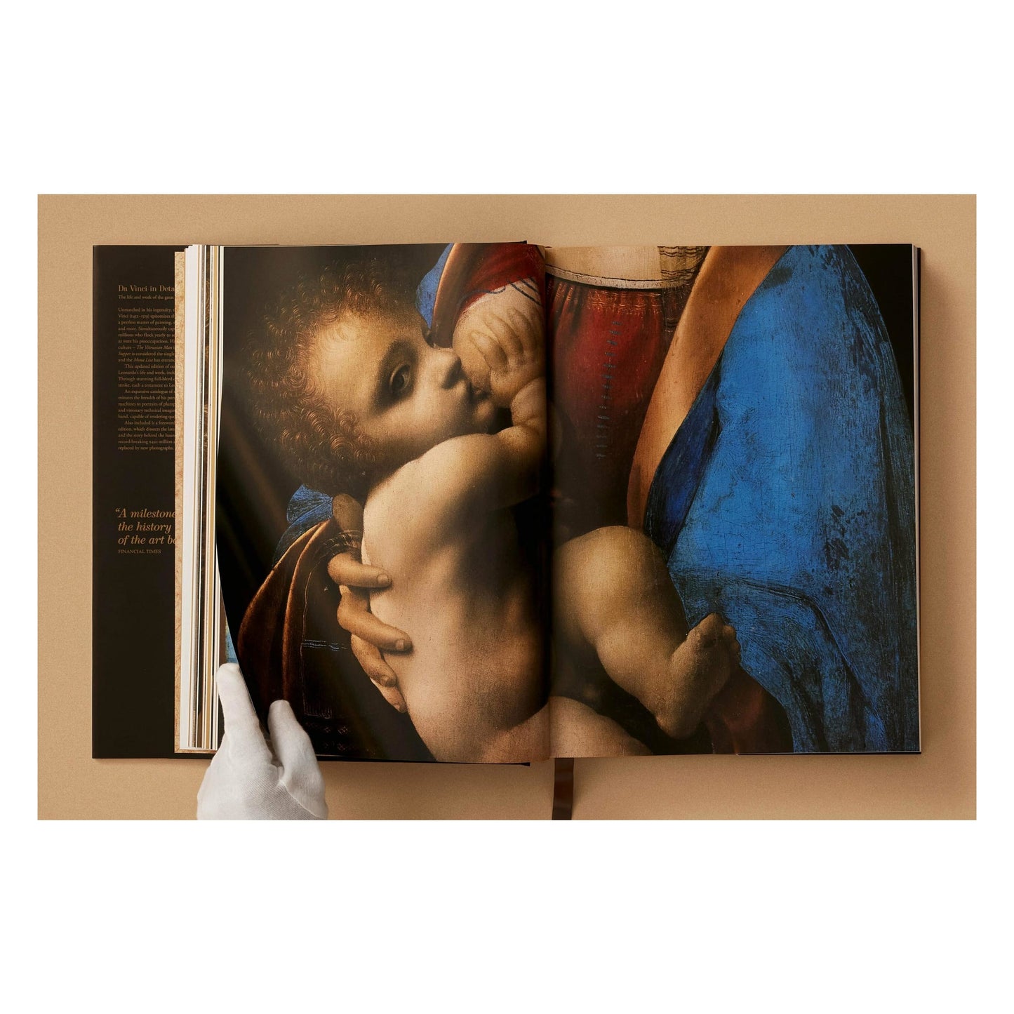 Leonardo. Sämtliche Gemälde und Zeichnungen (German)
