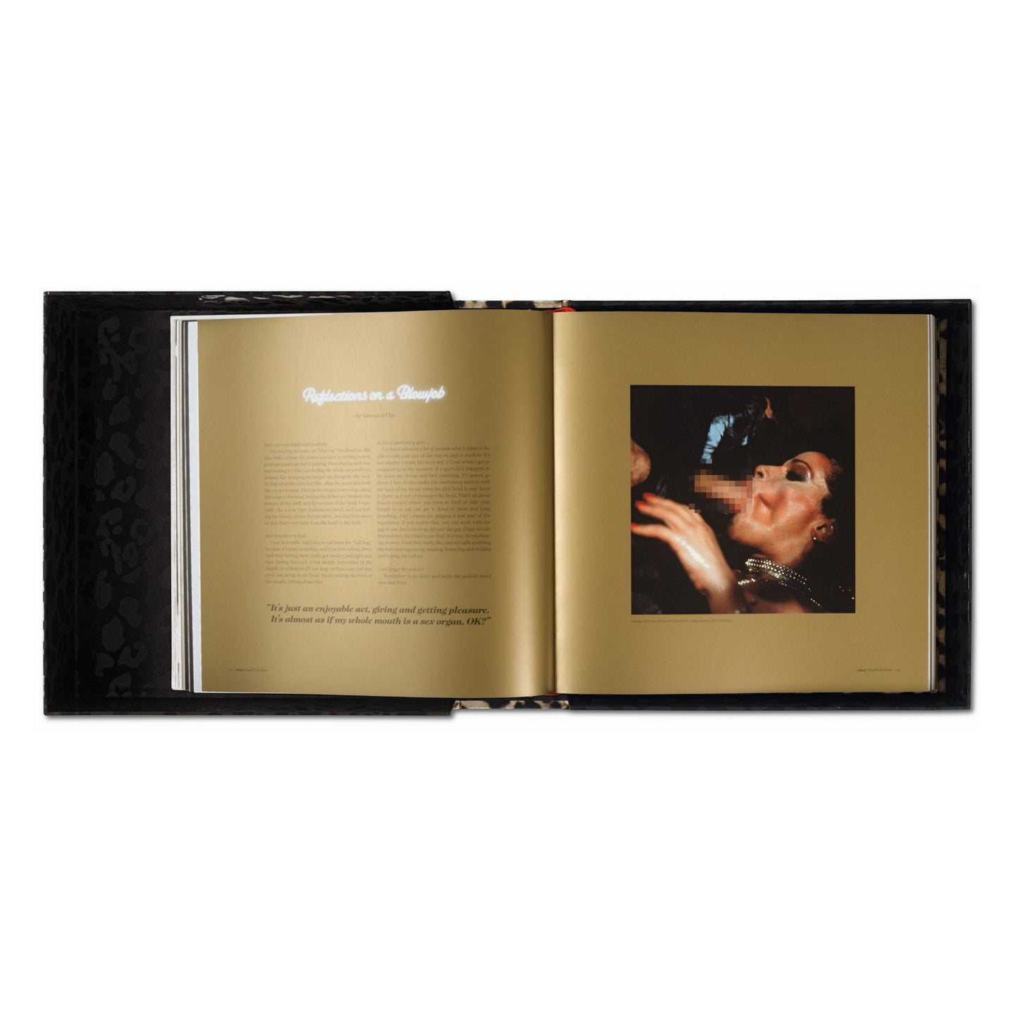 Vanessa del Rio. Crumb Edition (German, French, English) (SA)
