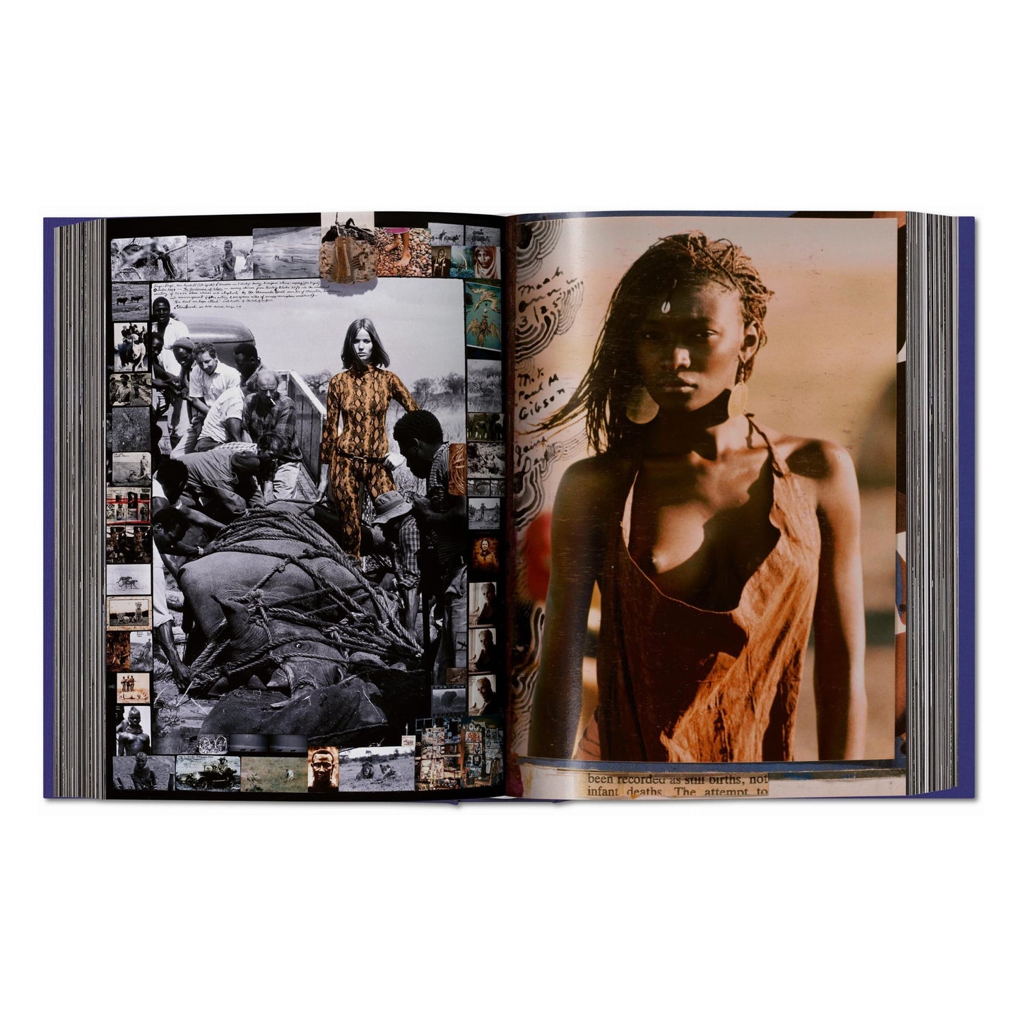 Peter Beard (German, French, English)