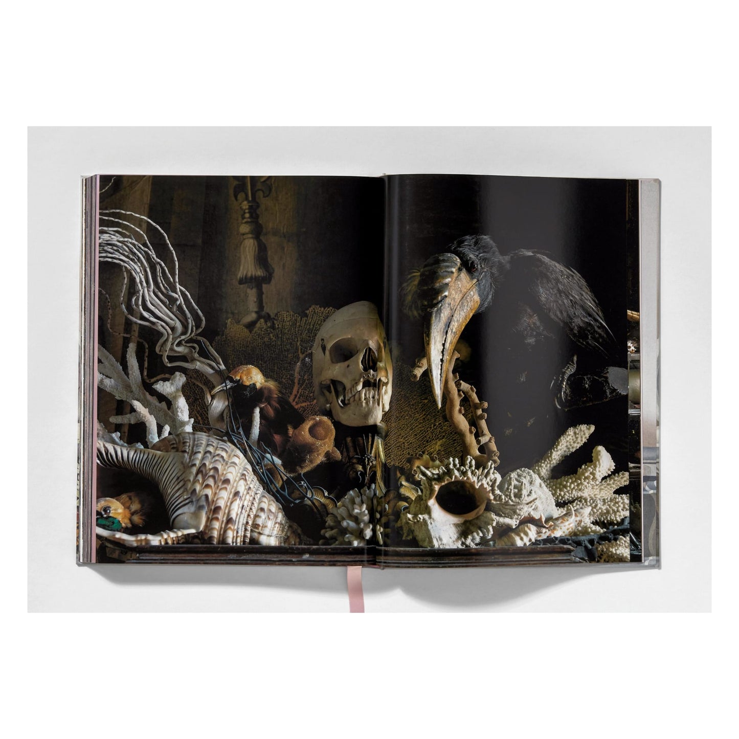 Massimo Listri. Cabinet of Curiosities (German, French, English)