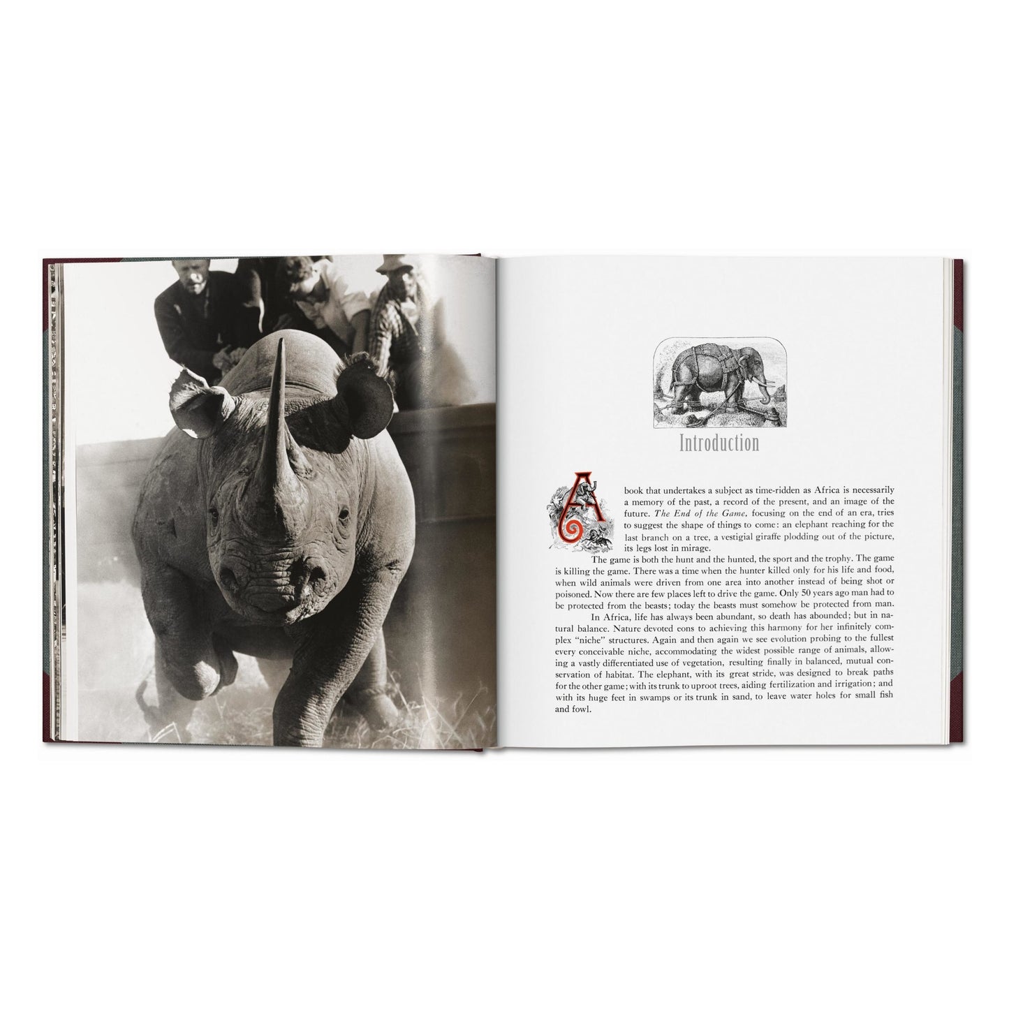 Peter Beard. The End of the Game. Revisited 2020 Edition (English)