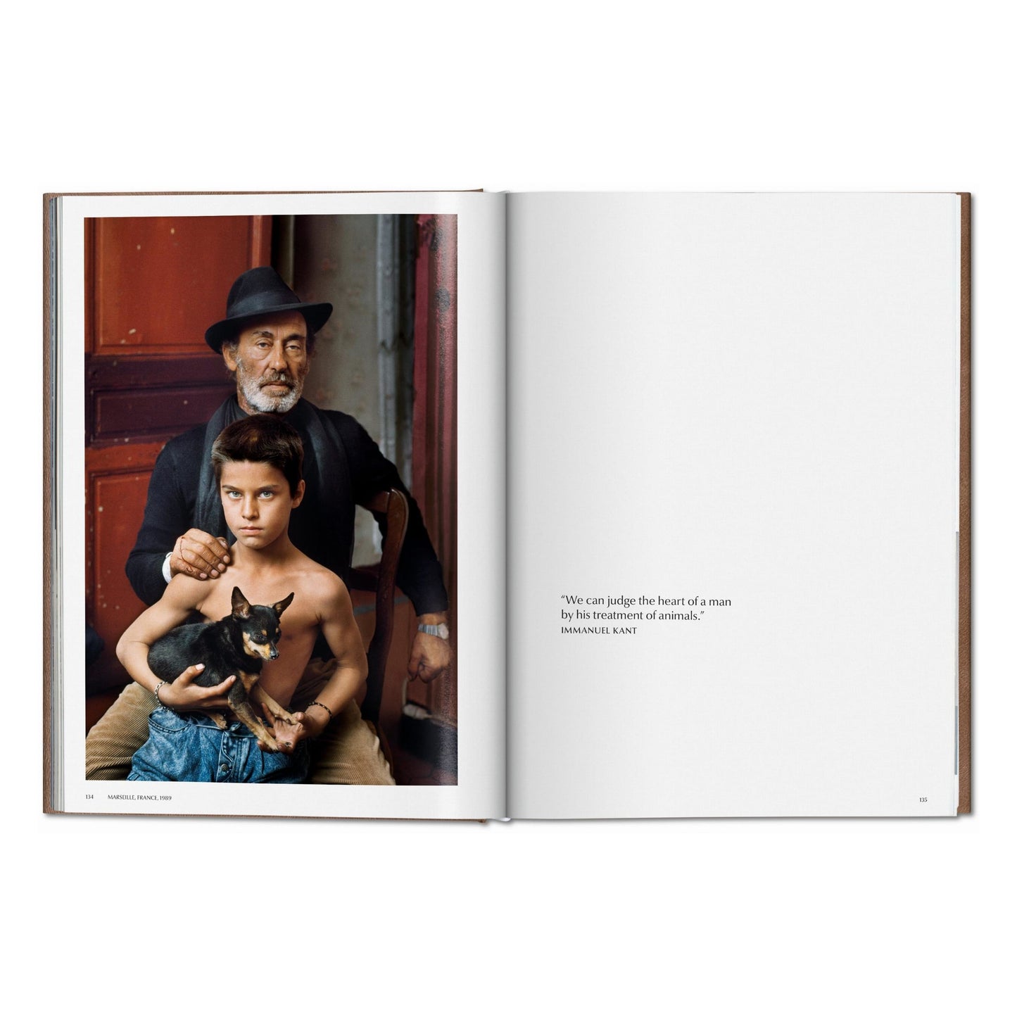 McCurry, Animals, Art A, Chiang Mai (German, French, English) (SA)
