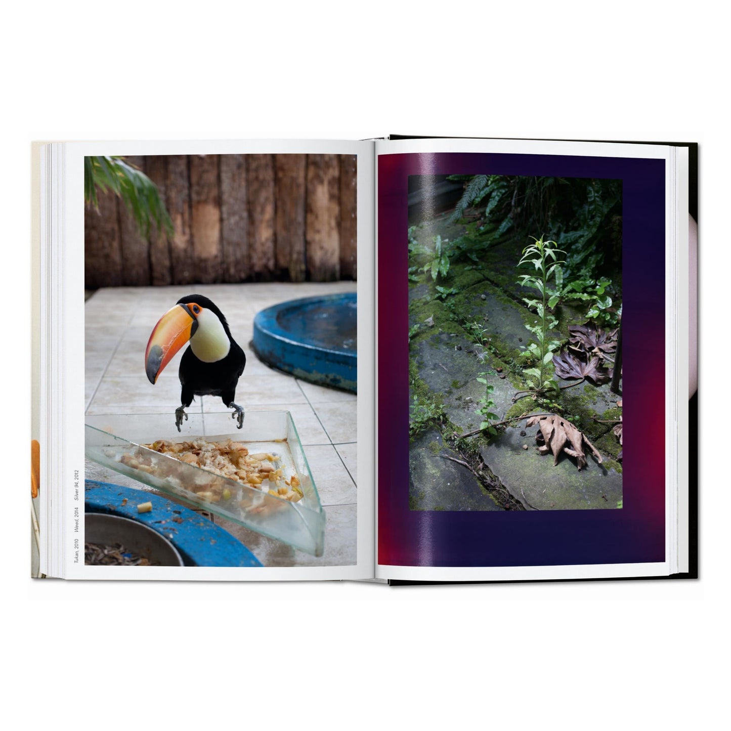 Wolfgang Tillmans. four books. 45th Ed. (English)