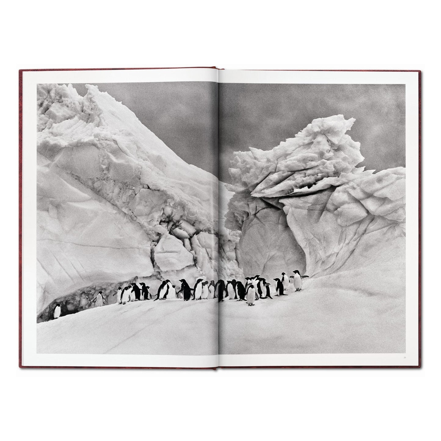 Sebastião Salgado. GENESIS, Art Edition No. 1–100 ‘Two Mursi Women, Omo Valley, Ethiopia’ (English) (AP)