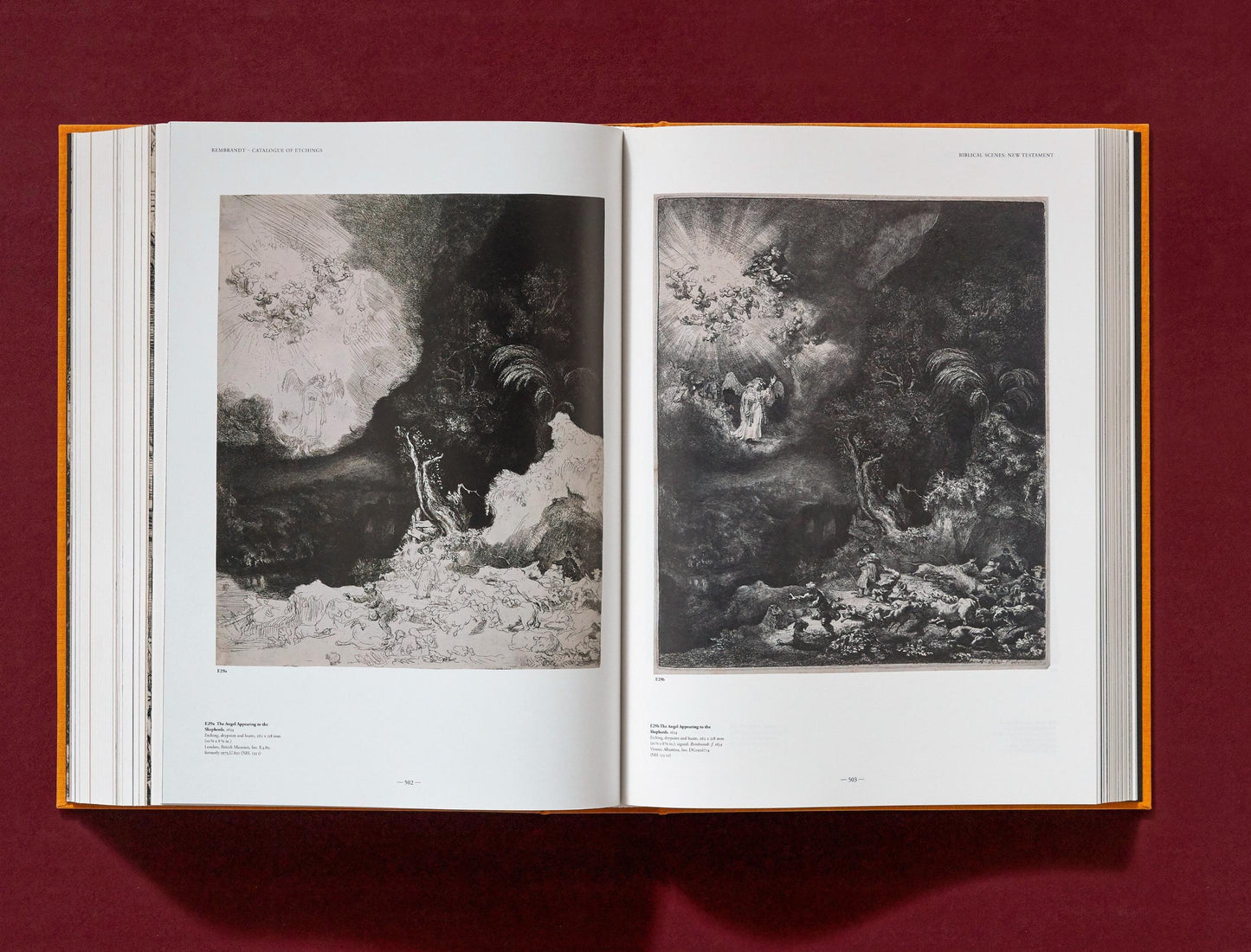 Rembrandt. Sämtliche Zeichnungen und Radierungen (German)