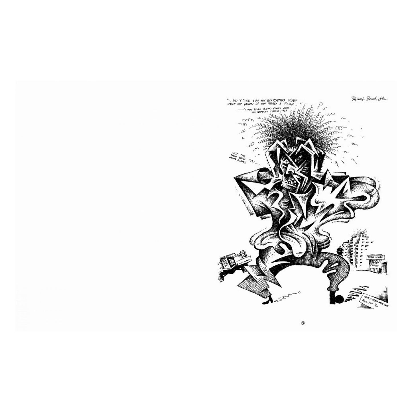 Robert Crumb. Sketchbooks 1982-2011 (English) (AP)