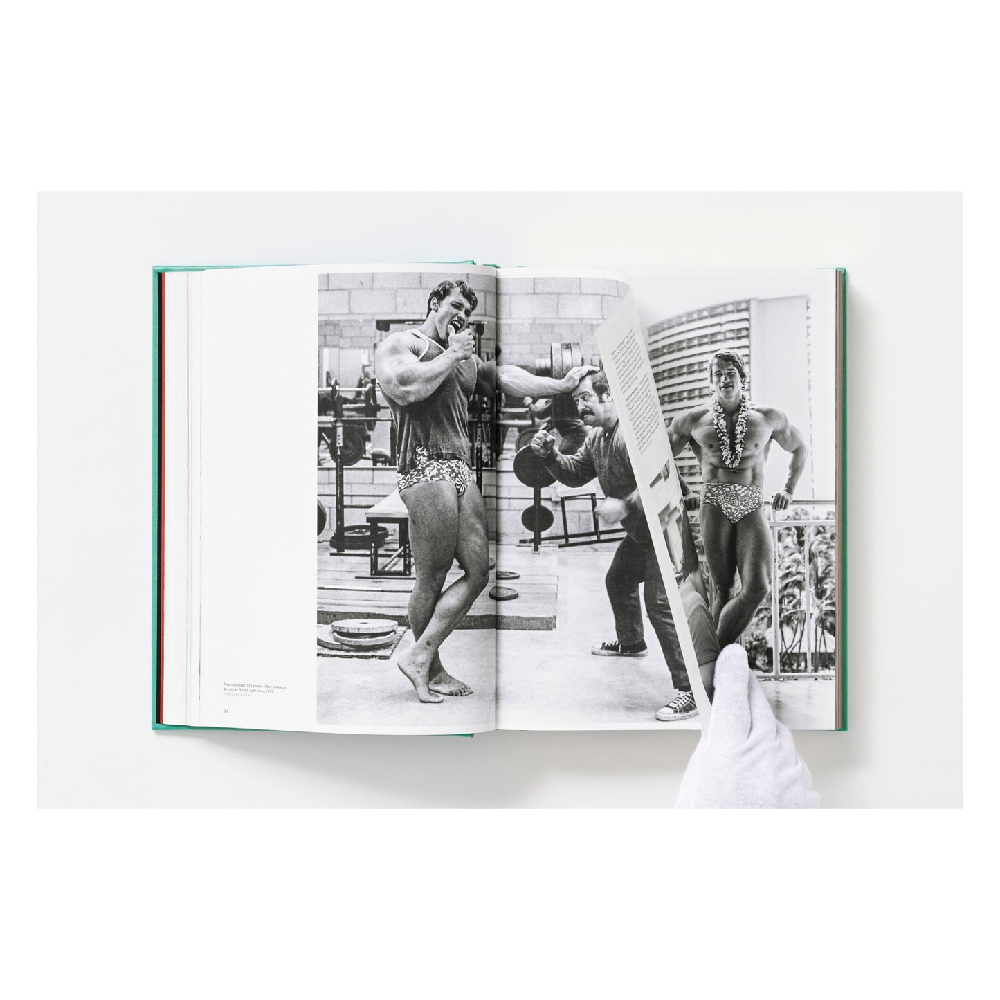 ARNOLD. Capitello Edition (English)