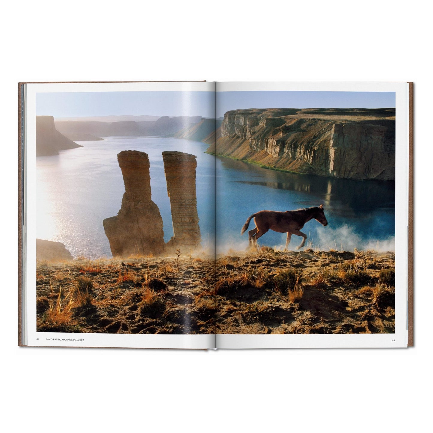 McCurry, Animals, Art A, Chiang Mai (German, French, English) (SA)