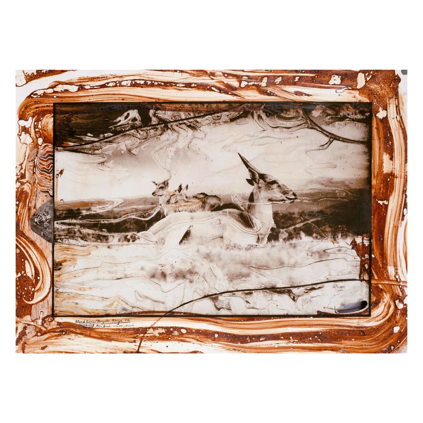 Peter Beard (German, French, English)